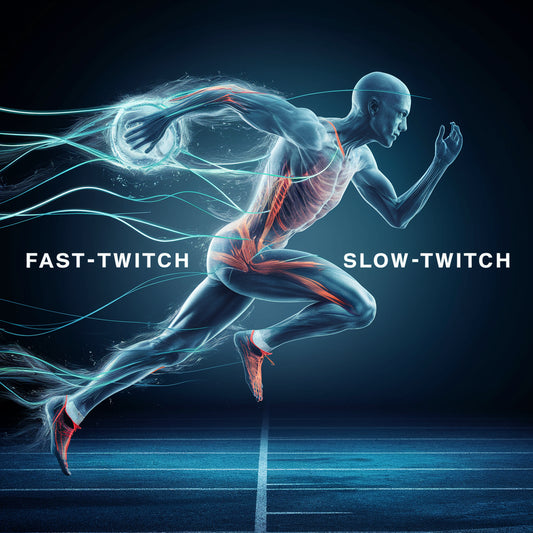 The Difference Between Fast and Slow Twitch Muscles in Sports